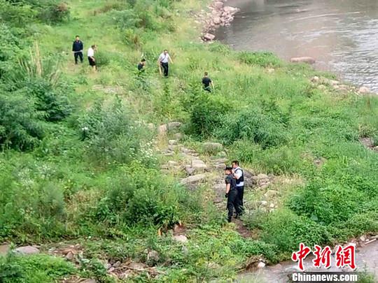 警方将闯入县城的野猪击毙。　钟欣 摄